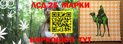 молекула духа Жуковский
