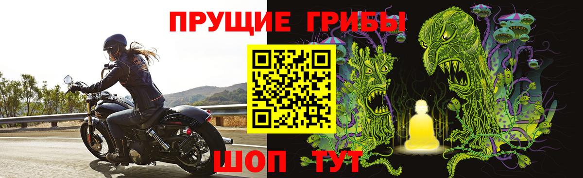 Назарово  Псилоцибиновые грибы Psilocybine cubensis  Вход с VPN  Псилоцибиновые грибы Magic Shrooms 