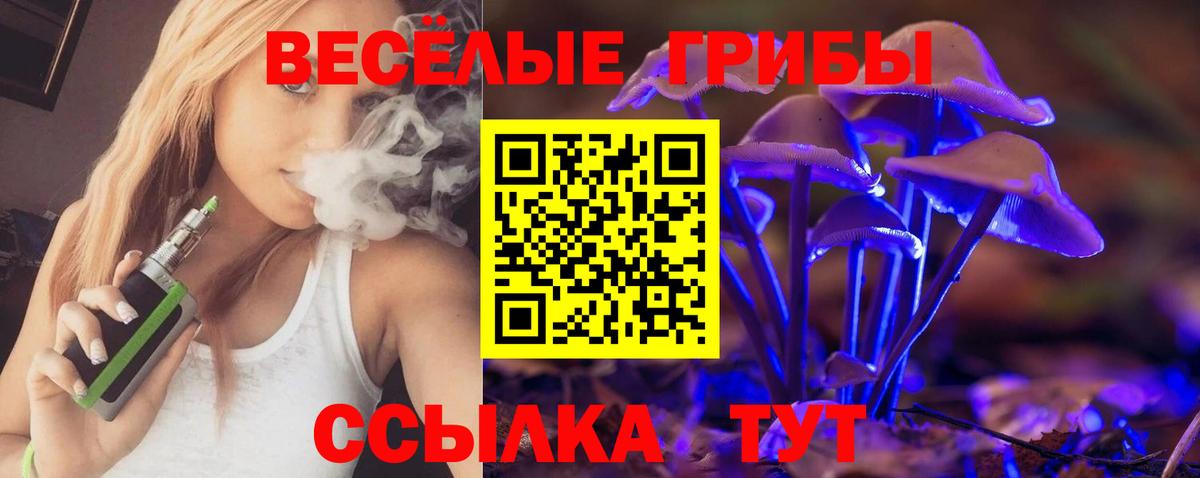 Псилоцибиновые грибы Psilocybe Назарово